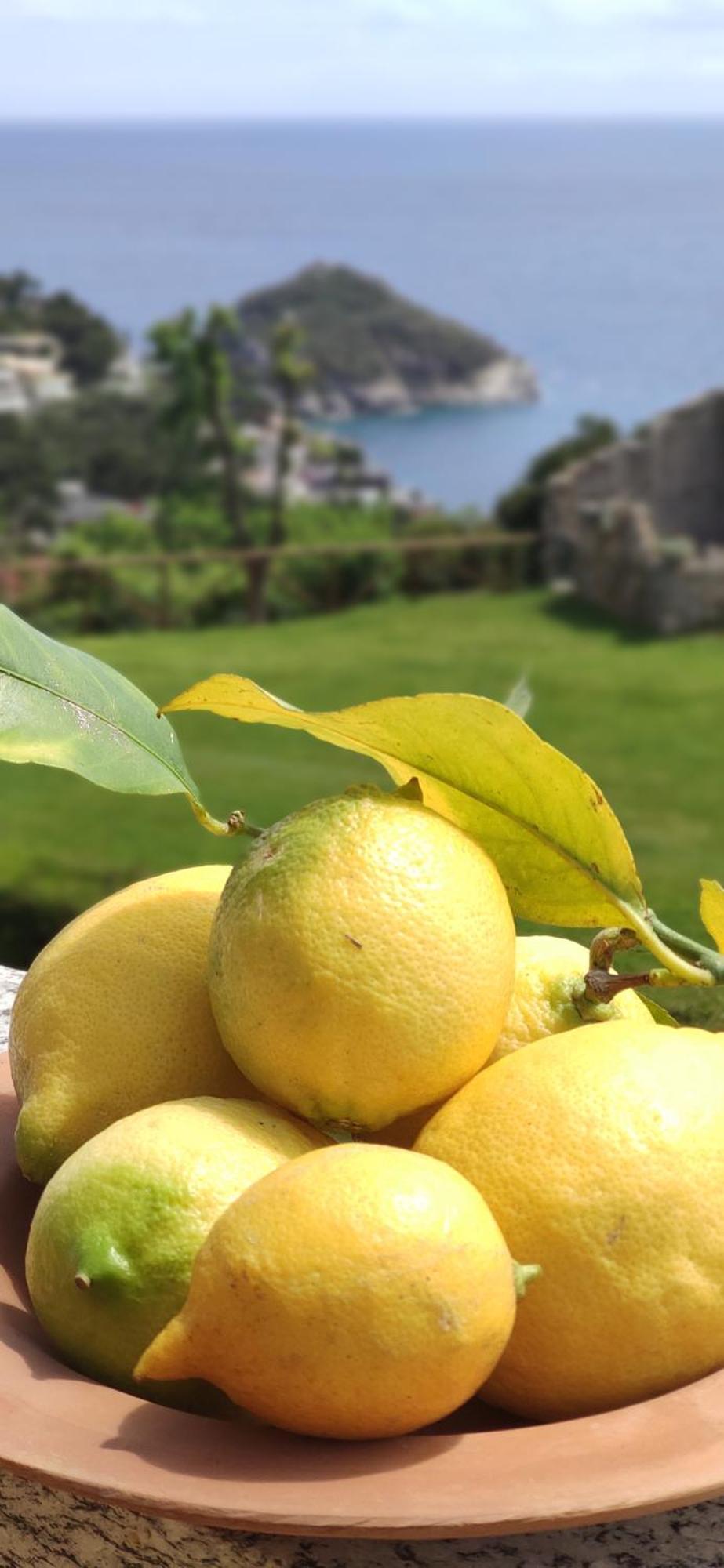 Il Giardino Sull'Isola - Appartamento - 베르게지 외부 사진