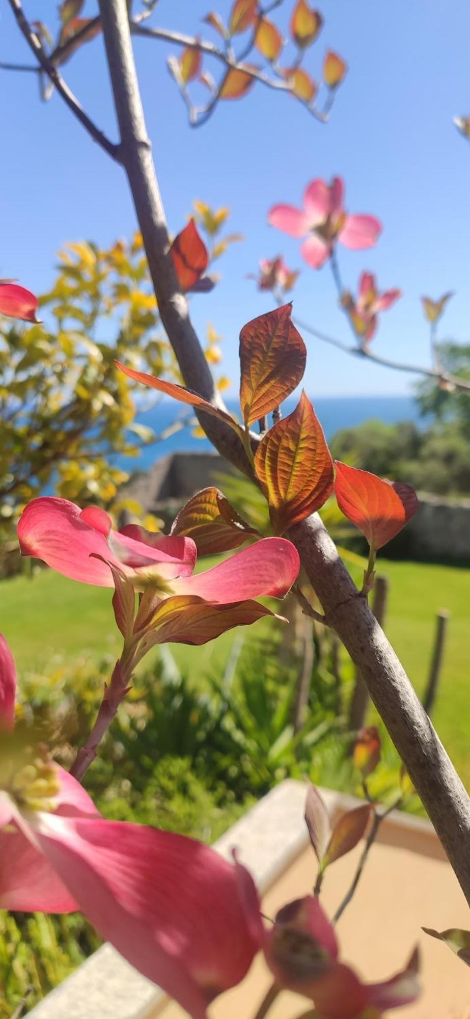 Il Giardino Sull'Isola - Appartamento - 베르게지 외부 사진