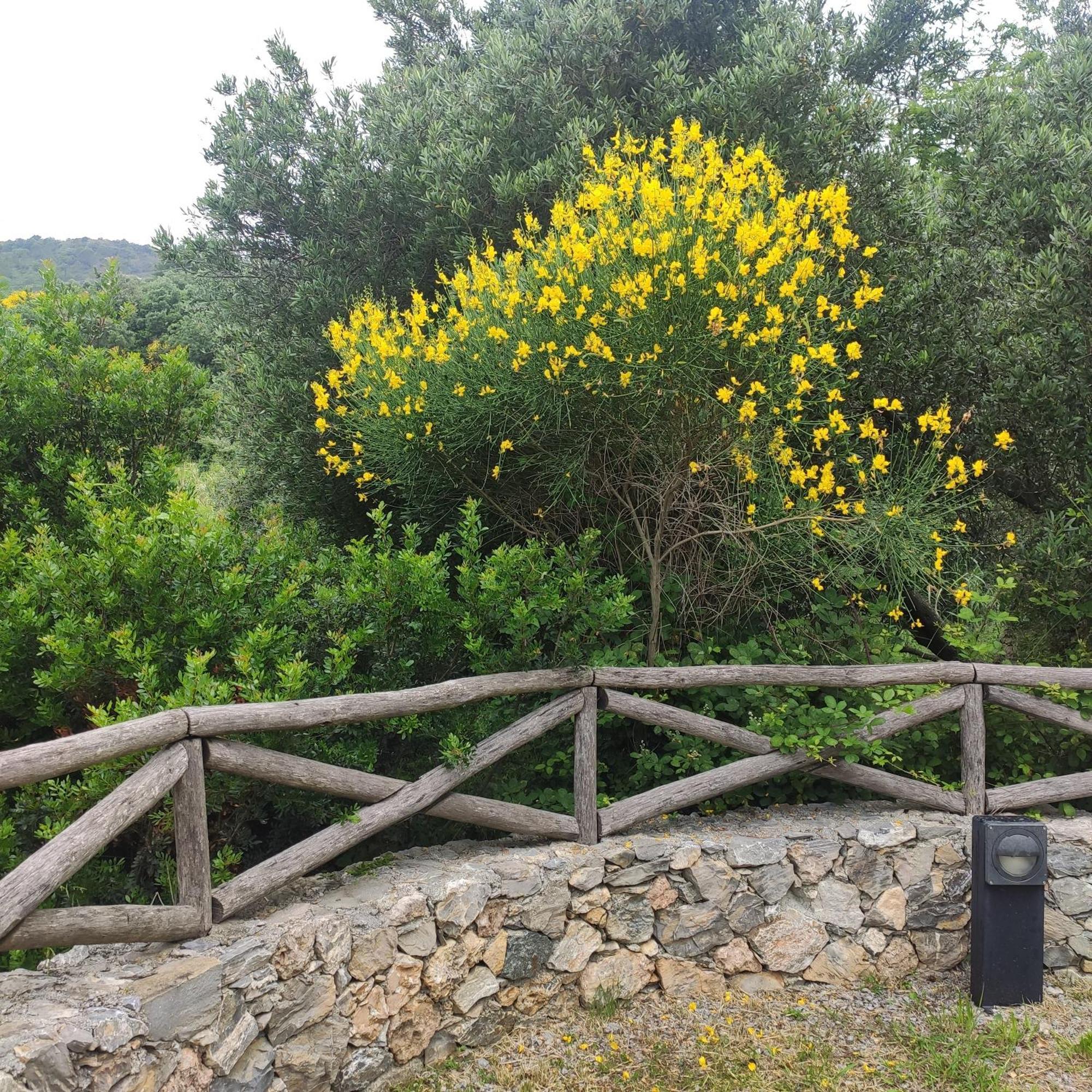 Il Giardino Sull'Isola - Appartamento - 베르게지 외부 사진